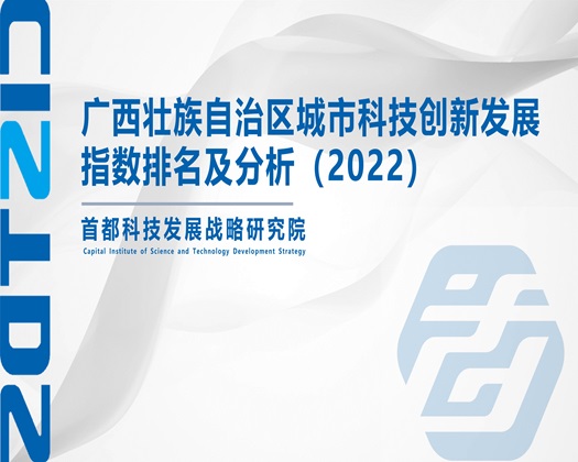 啊……啊……艹我好爽【成果发布】广西壮族自治区城市科技创新发展指数排名及分析（2022）